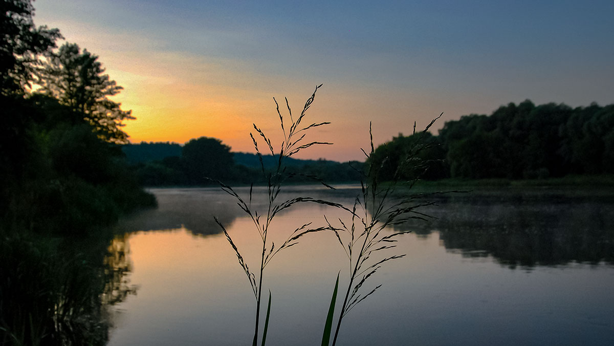 Trys istorijos apie šamą