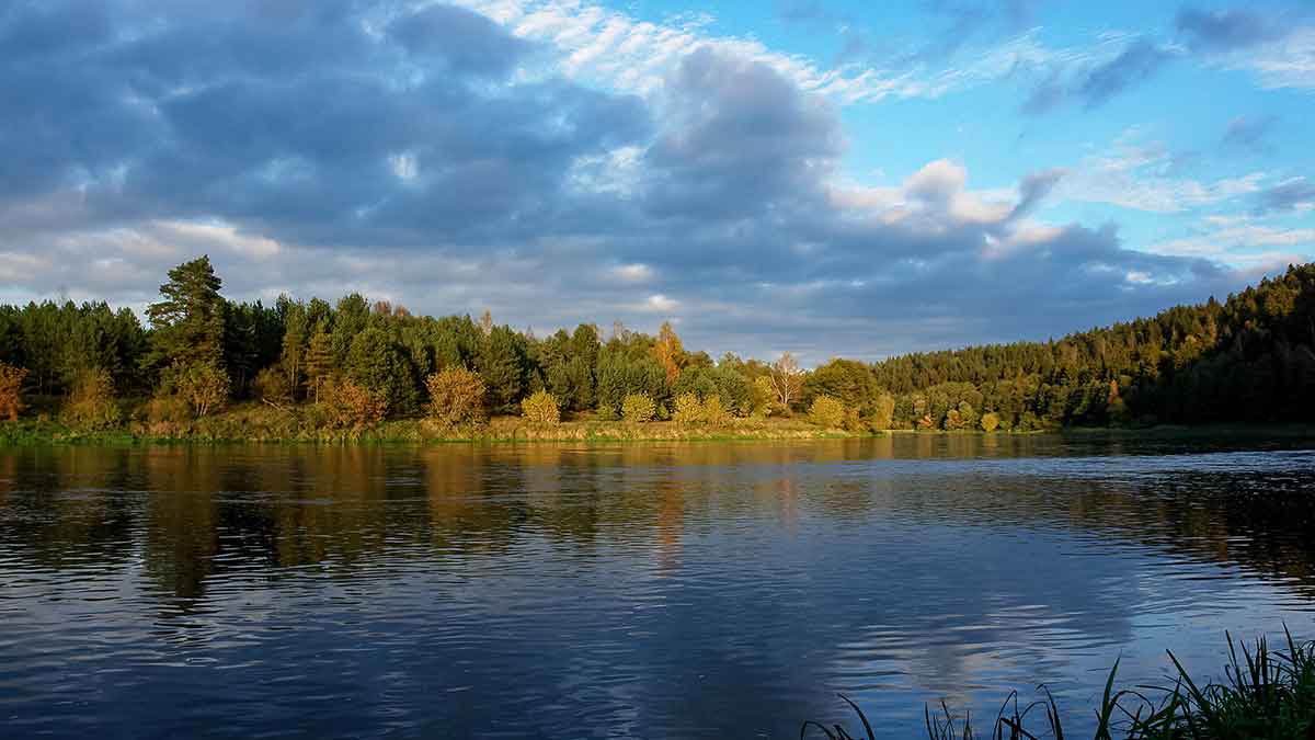 Nemunas nuo Merkinės iki Alytaus. Dvi skirtingos dienos