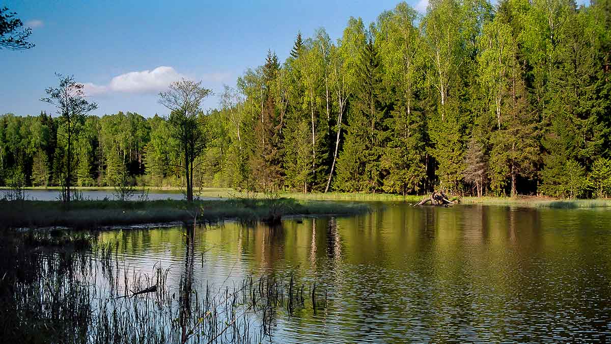 Karosai ir antra rugpjūčio pusė – kaip žvejoti