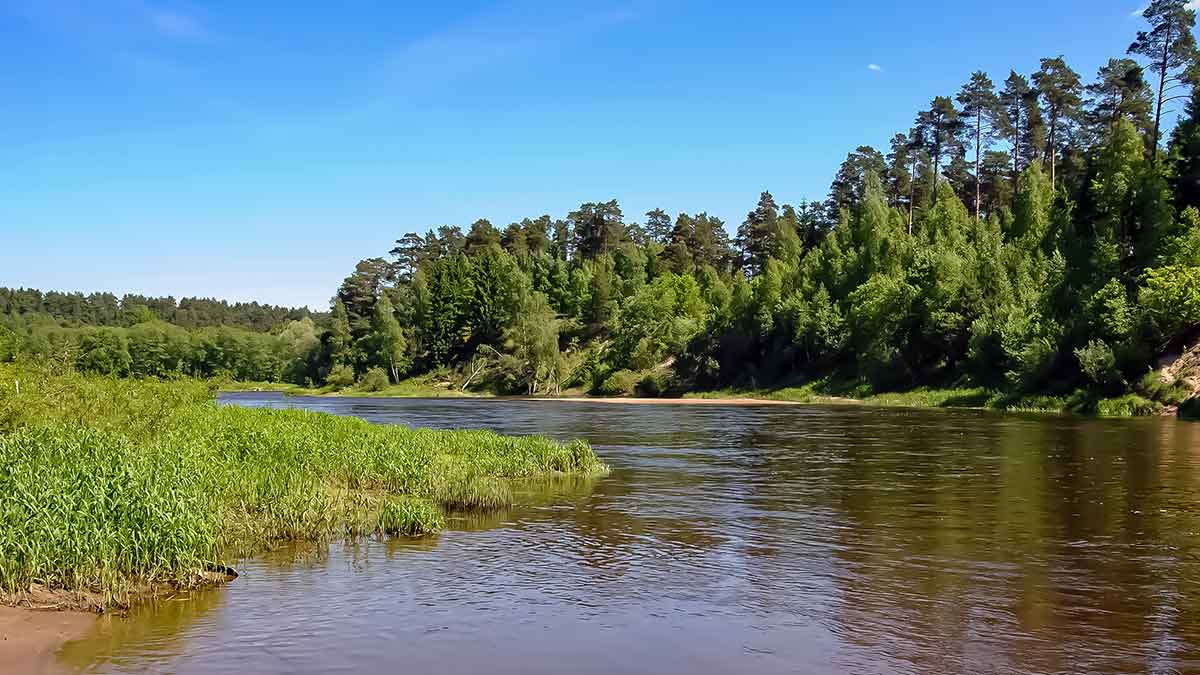 Pasvarstymai apie salačius ir juos gaudančius žvejus