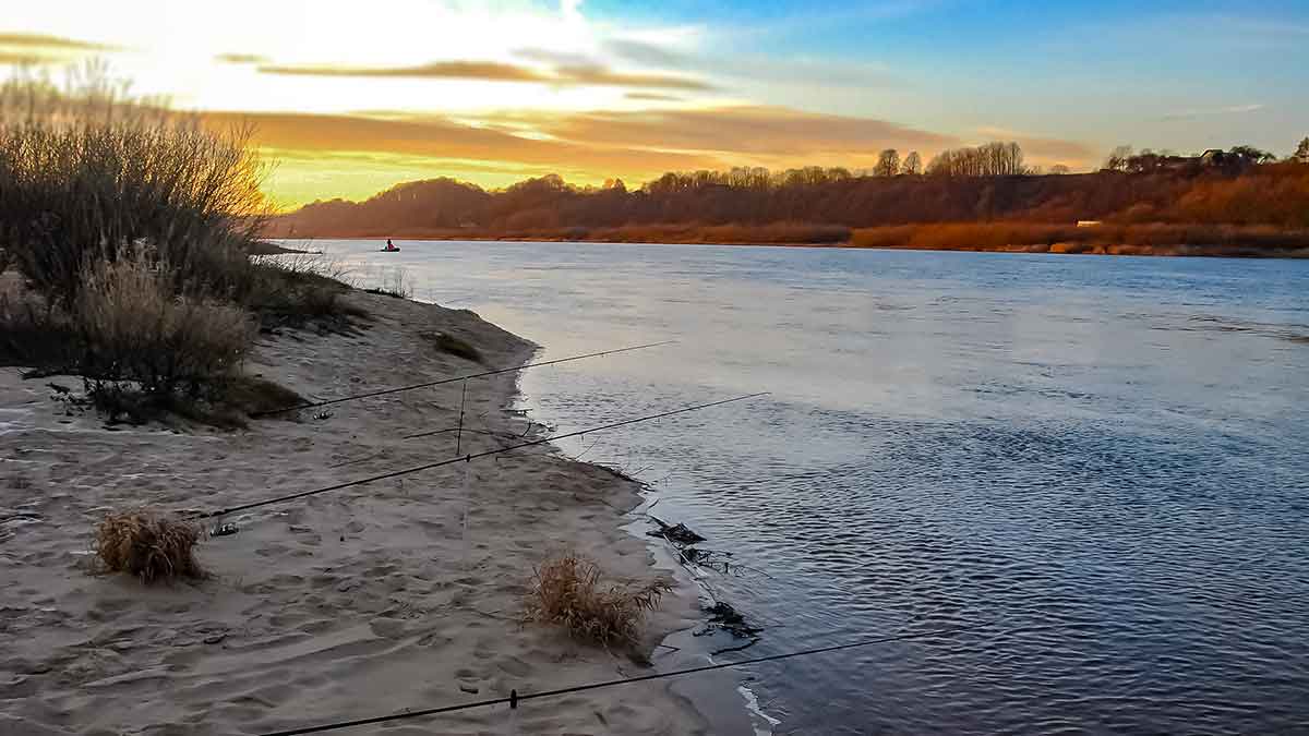 Nevyniojant į vatą apie vėgėlių žūklę. Pati keisčiausia mūsų vandenų žuvis