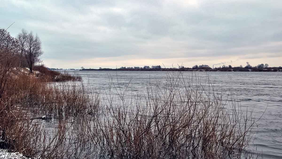 Nevyniojant į vatą apie vėgėlių žūklę. Įranga ir tinkamiausias oras
