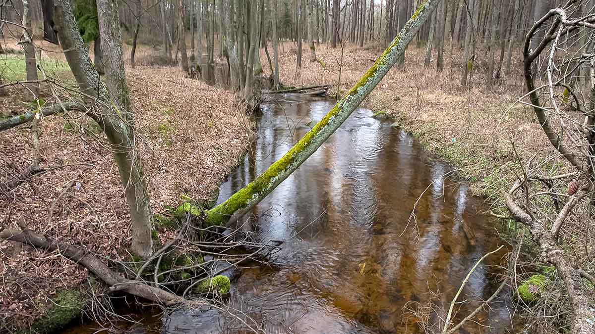 Balta dėmė upėtakininko žemėlapyje? Puikus metas upėtakių žūklei