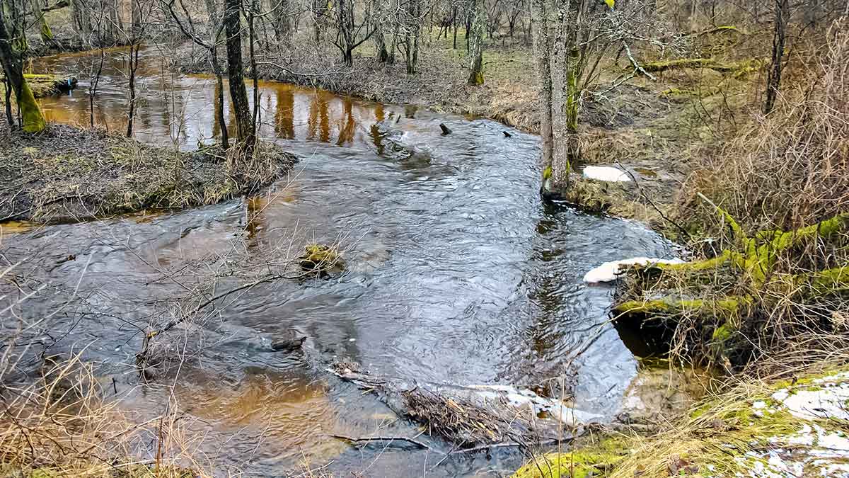 Balta dėmė upėtakininko žemėlapyje? Grūdos intake ir Grūdoje