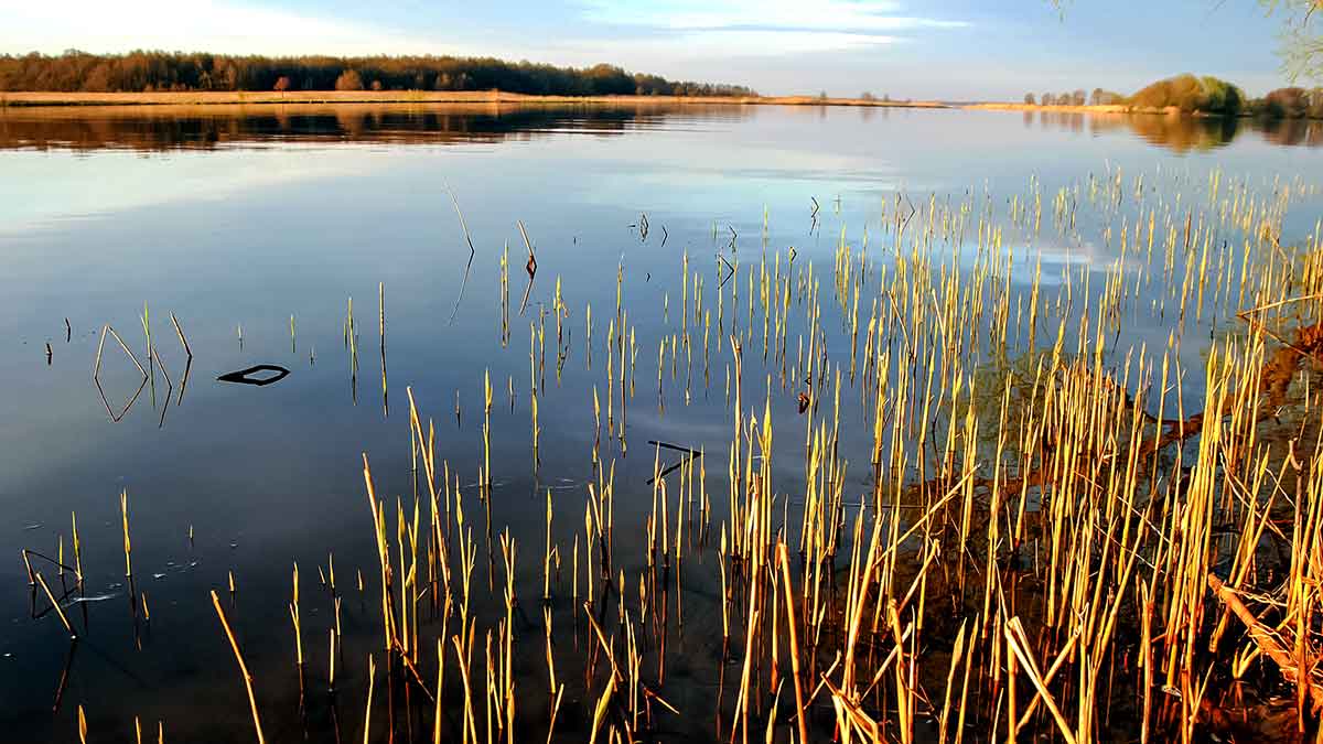 Karšių – į Nemuno žemupį. Antra dalis