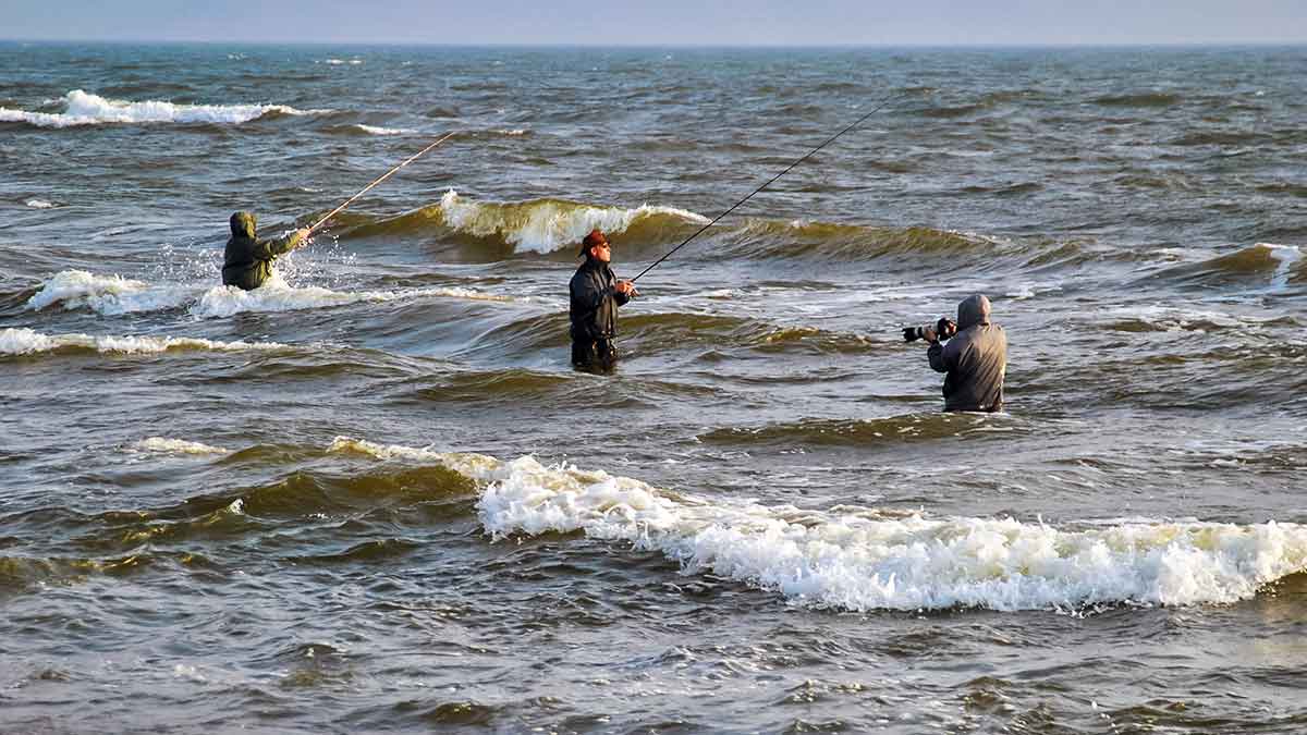 Vėjo žuvies gaudymas. Pirma dalis