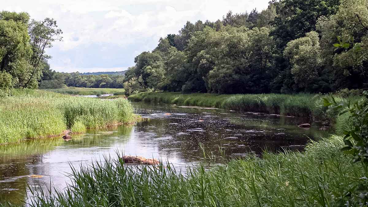 Paslaptingi Dubysos vingiai. Su spiningu – dar įdomiau
