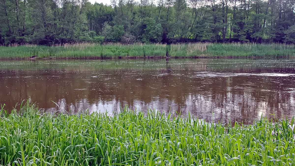 Meknių gaudymas vobleriais