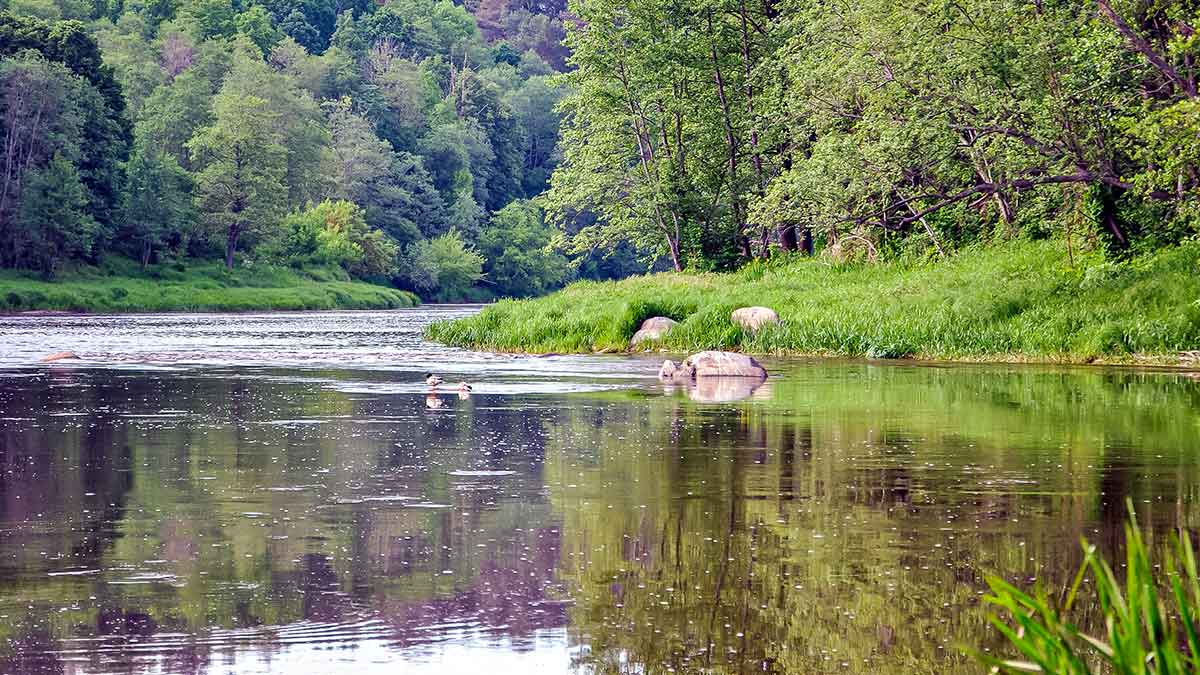 Meknių gaudymas sukriukėmis