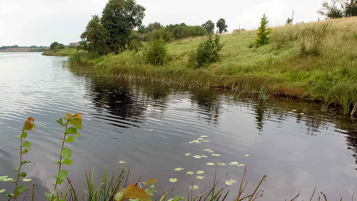 Kiekvienoje baloje savos taisyklės. Pirma dalis