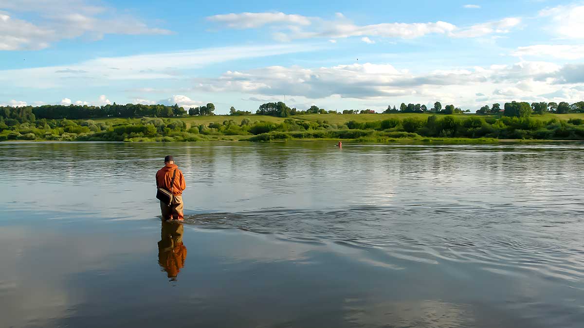 Šapalai mėgsta saulėtą orą