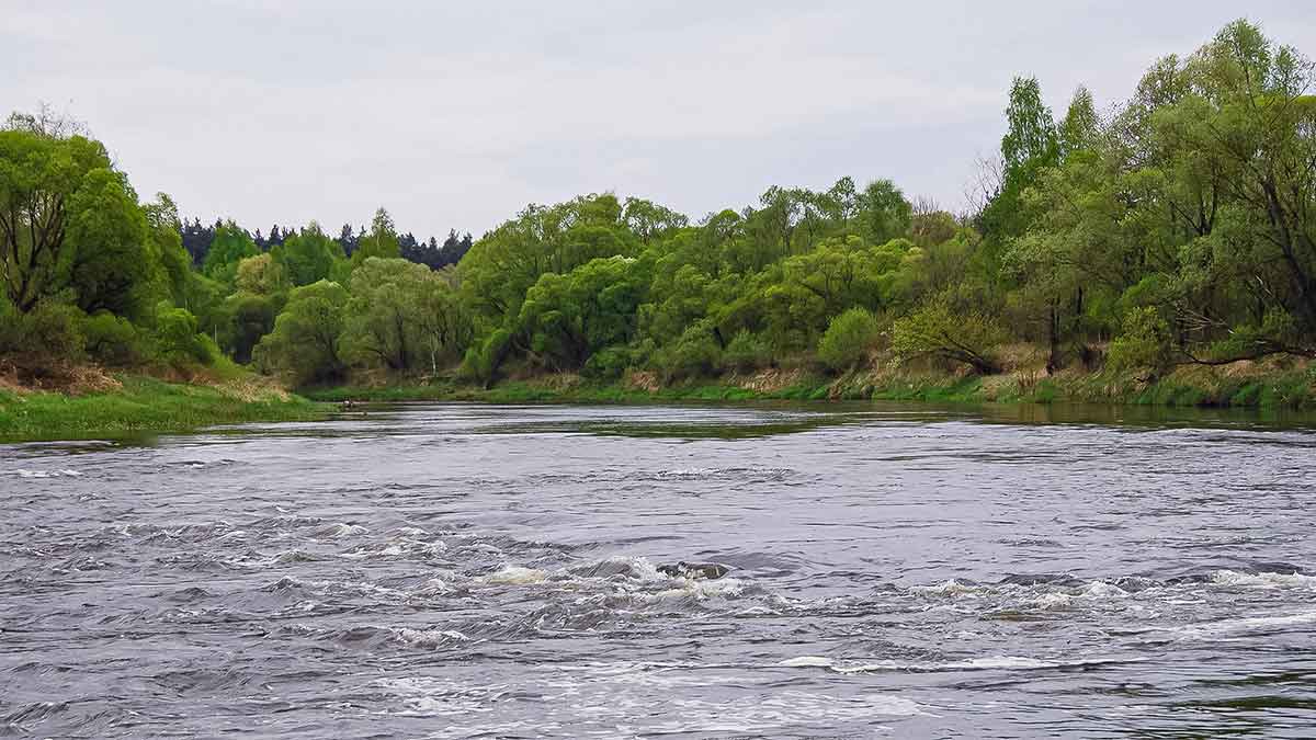 Vobleriai, su kuriais gaudau šapalus