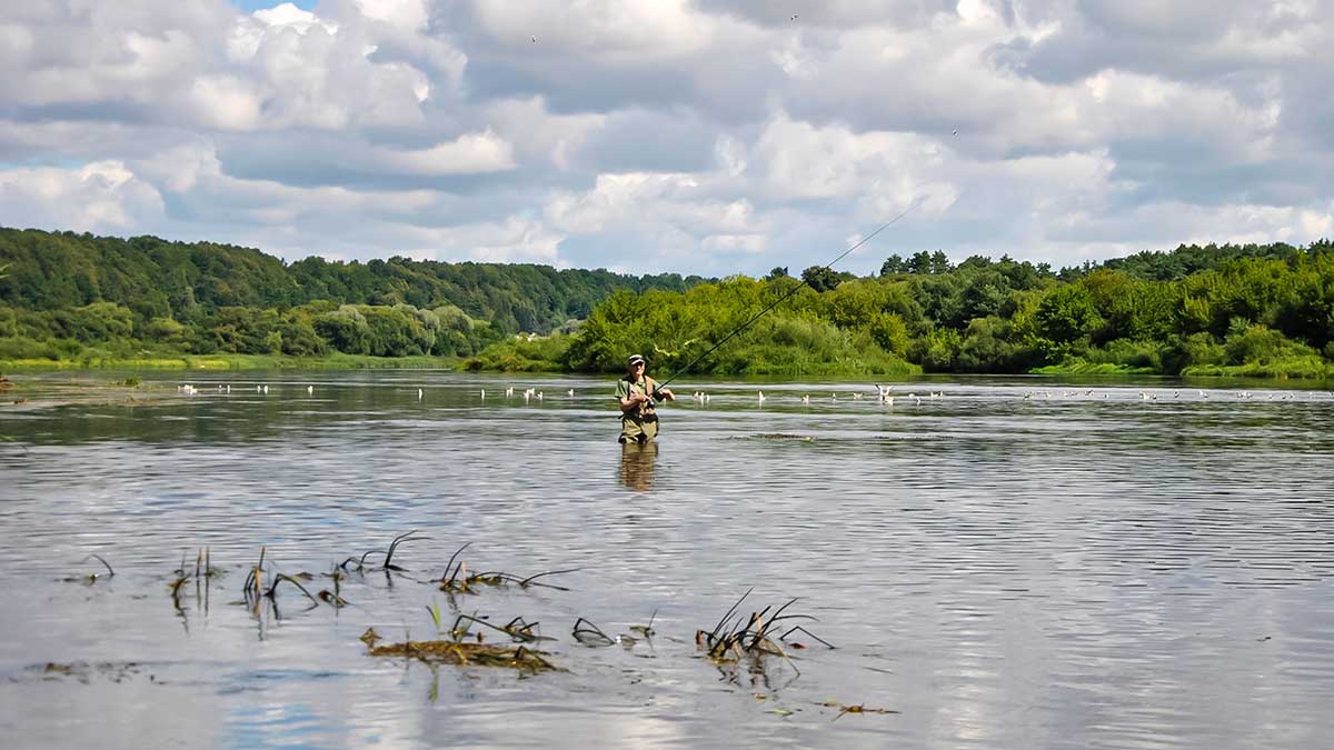 Masalai, kurių niekas (beveik niekas) nenaudoja
