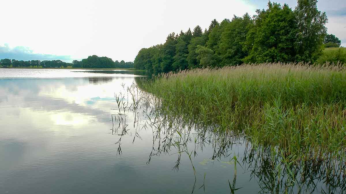 Karpių gaudymo vingrybės. Apie vandens telkinius ir temperatūrą