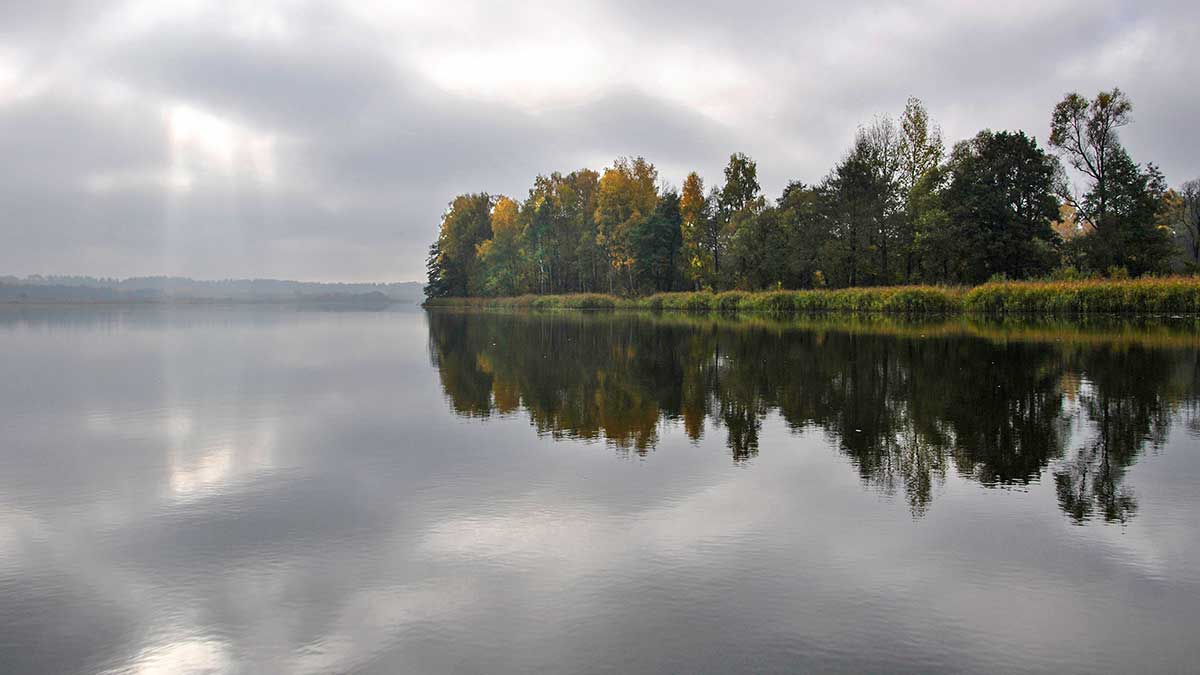 Vartiklės rudeniui