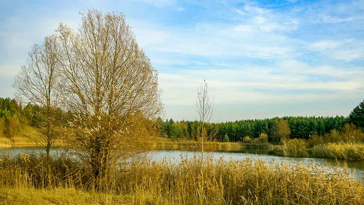 Lapkritį prie šiltojo kanalo