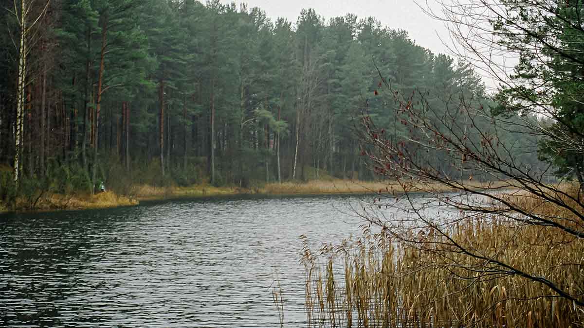 Iš senų užrašų. Dvi dienos iki Kiaulės metų. Pirma dalis