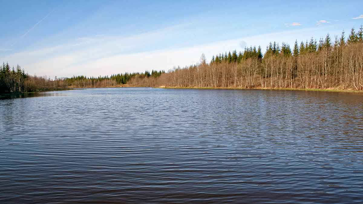 Nubudusio vandens vilionės. Pirma dalis