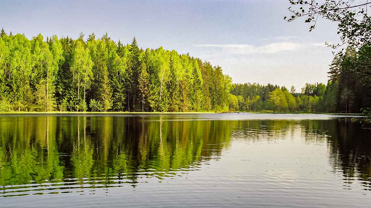 Švento Petro gimtinėje. Pirma dalis