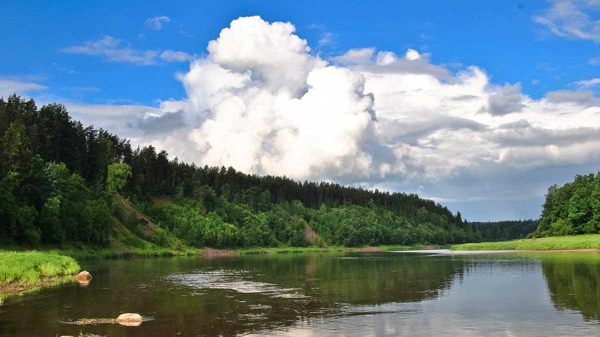 Ar patinka silikonas salačiams? Antra dalis