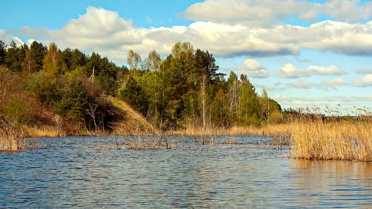 Kaip pagauti pavasarinę lydeką. Pirma dalis