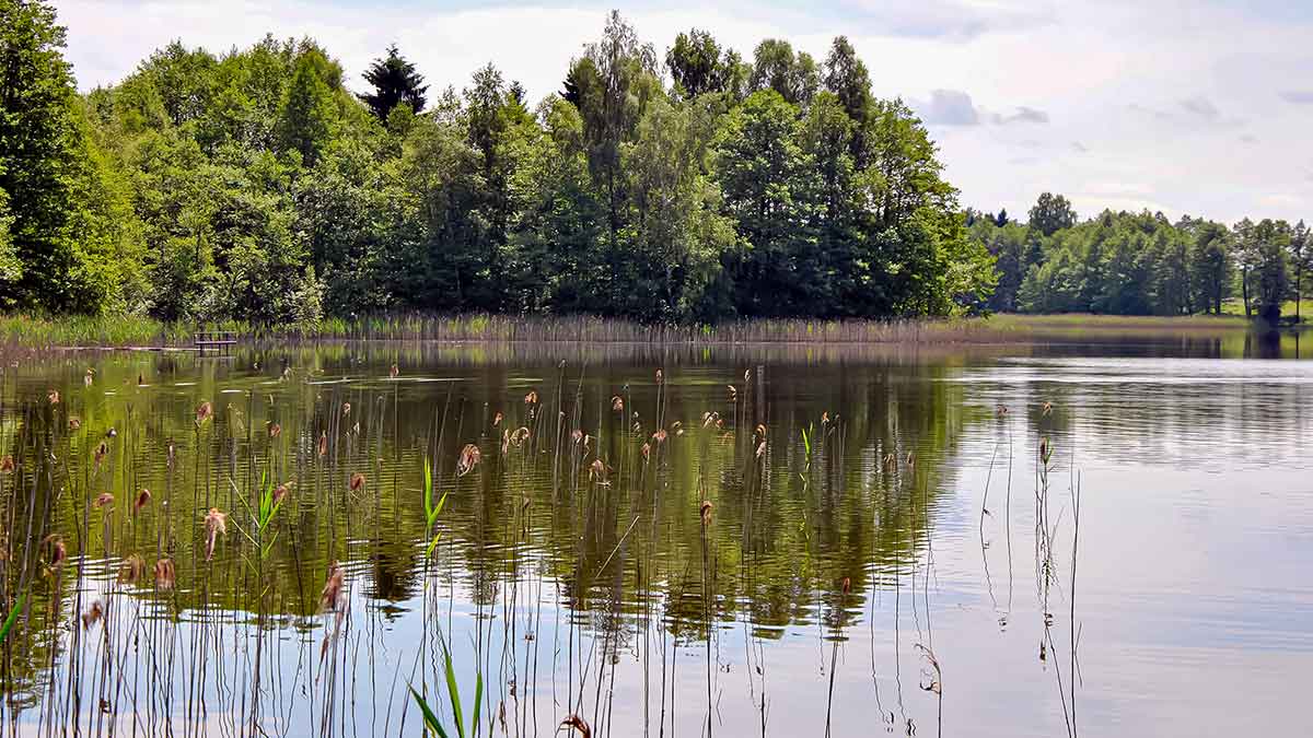 Kaip pagauti pavasarinę lydeką. Antra dalis