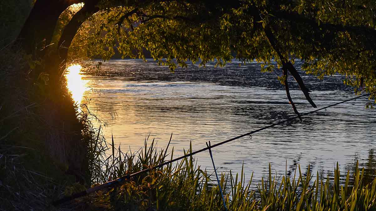 „Balta“ žuvis juodą naktį. Pirma dalis