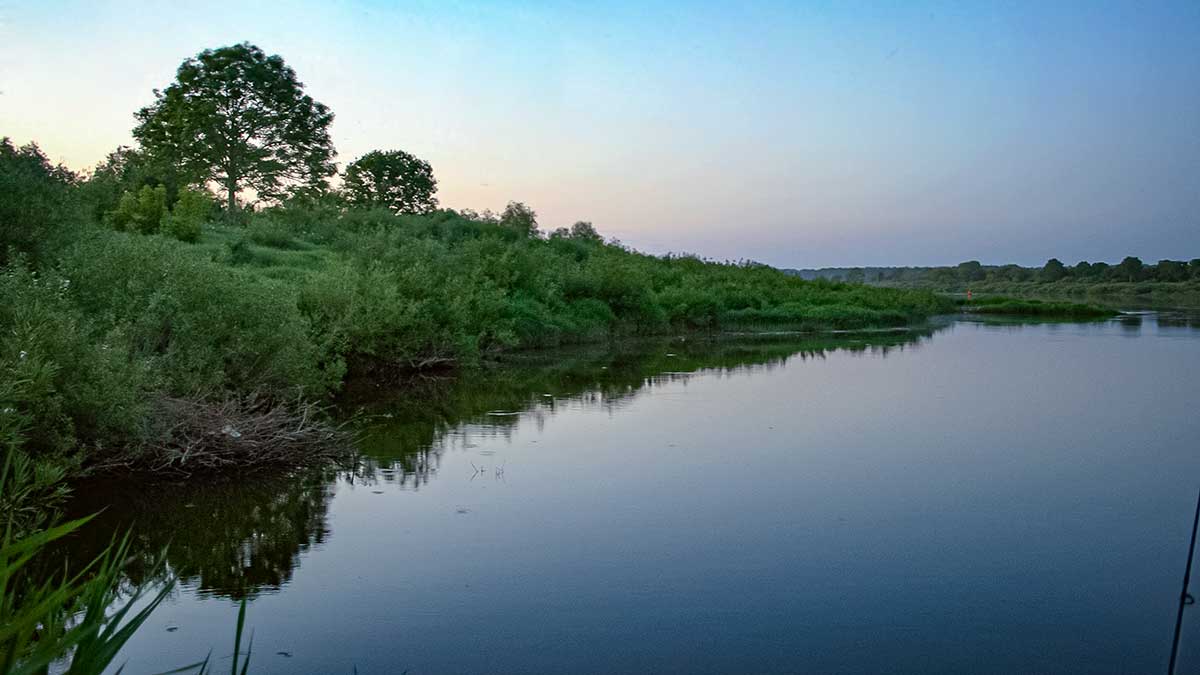 Plėšrūnai naktį nemiega. Pirma dalis