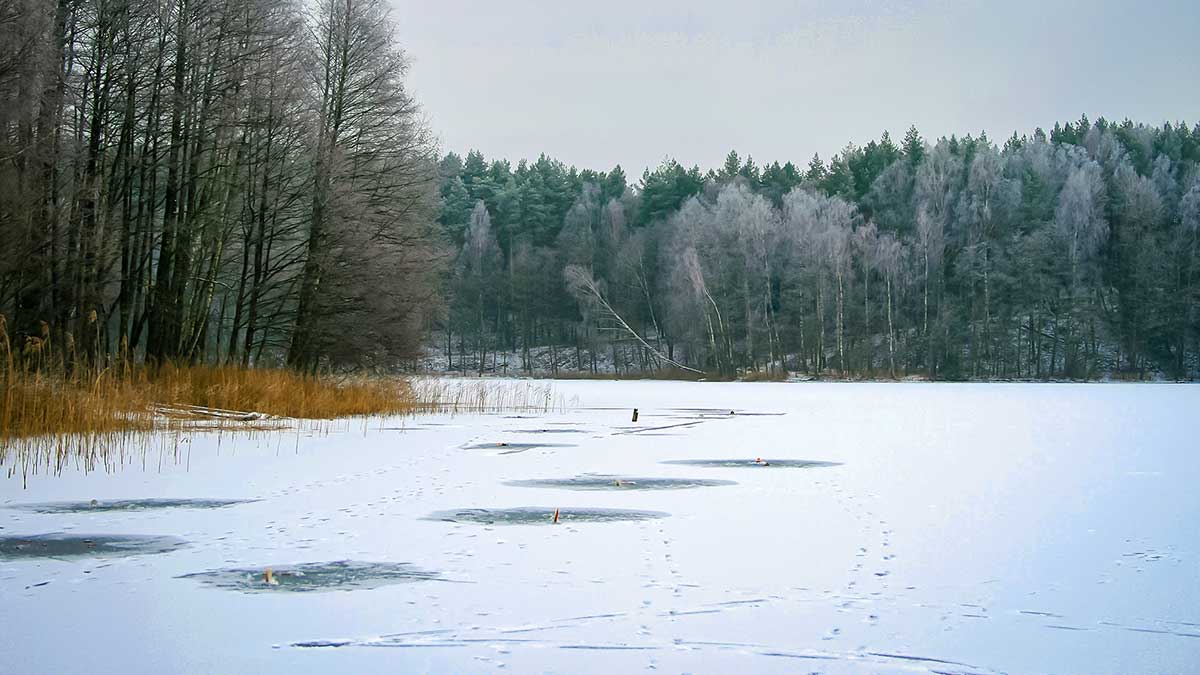 Kitą dieną po Naujųjų