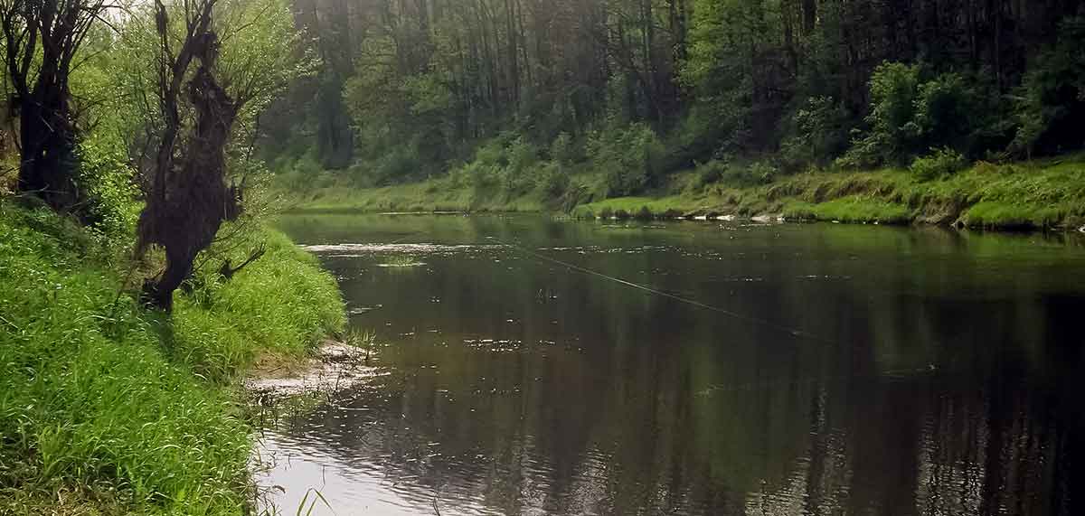 Didžiulių šapalų karalijoje. Žūklė plūdine