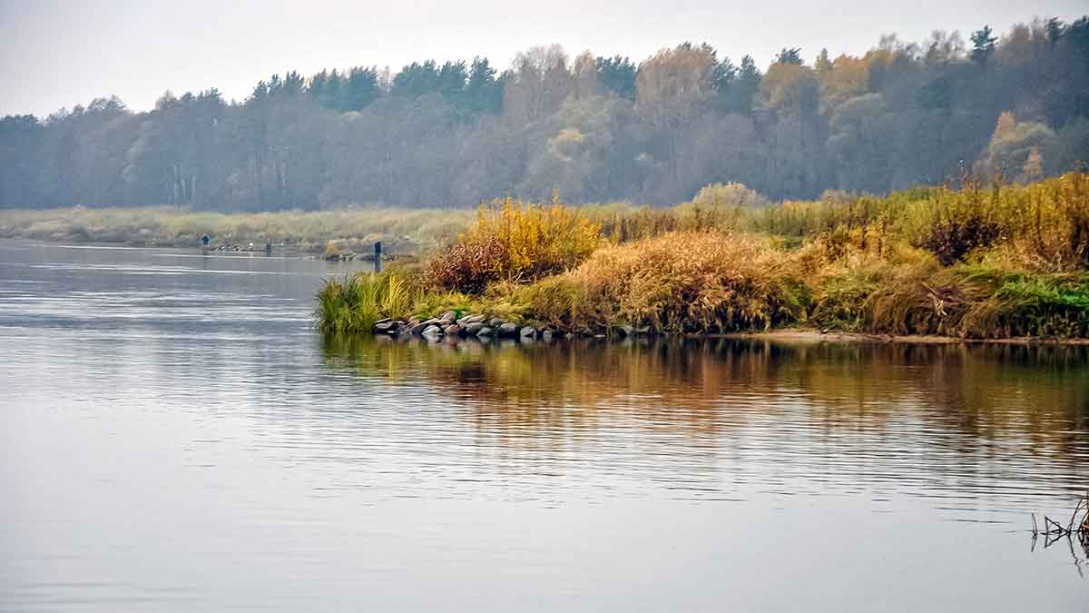Nemunas, plūdinė ir senos dambos. Kitaip nei vasarą