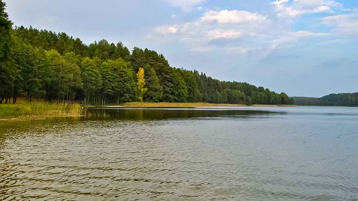 Kai šalna nubalina ežerų pakrantes. Mano mėgstamiausi ežerai