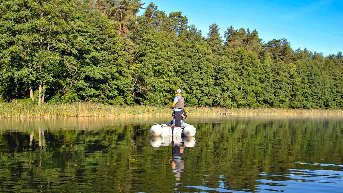Sukis, lapeli, sukis... Žuvis, kuri niekad neatsisako sukriukės