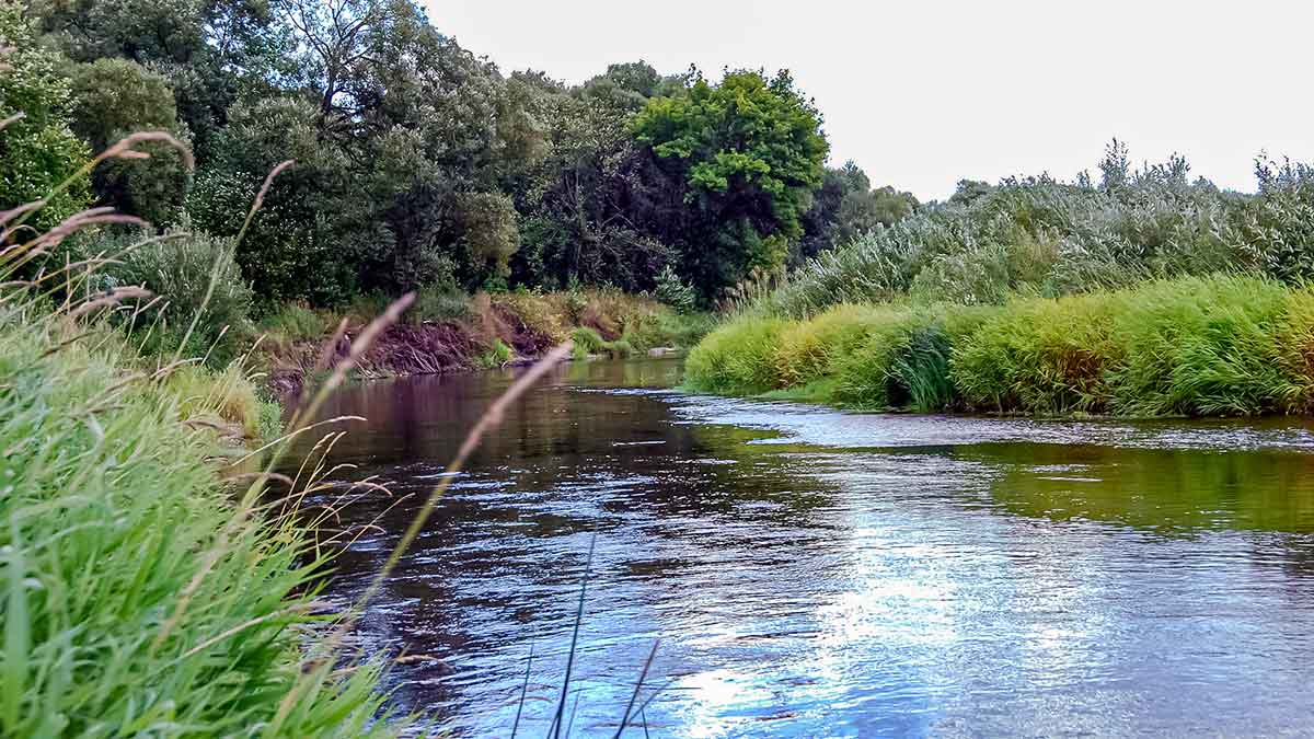 Sukis, lapeli, sukis... Apie lydekas, šapalus ir meknes