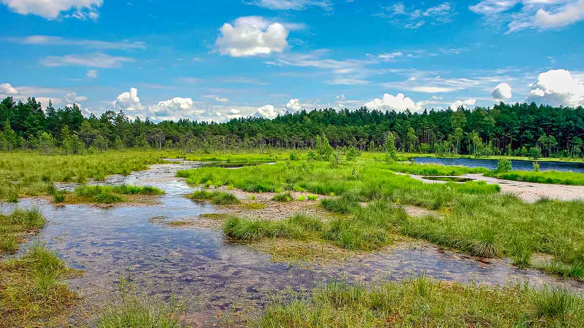 Ar iš balos tas gražumas. Ežerai, kurių beveik niekas neranda