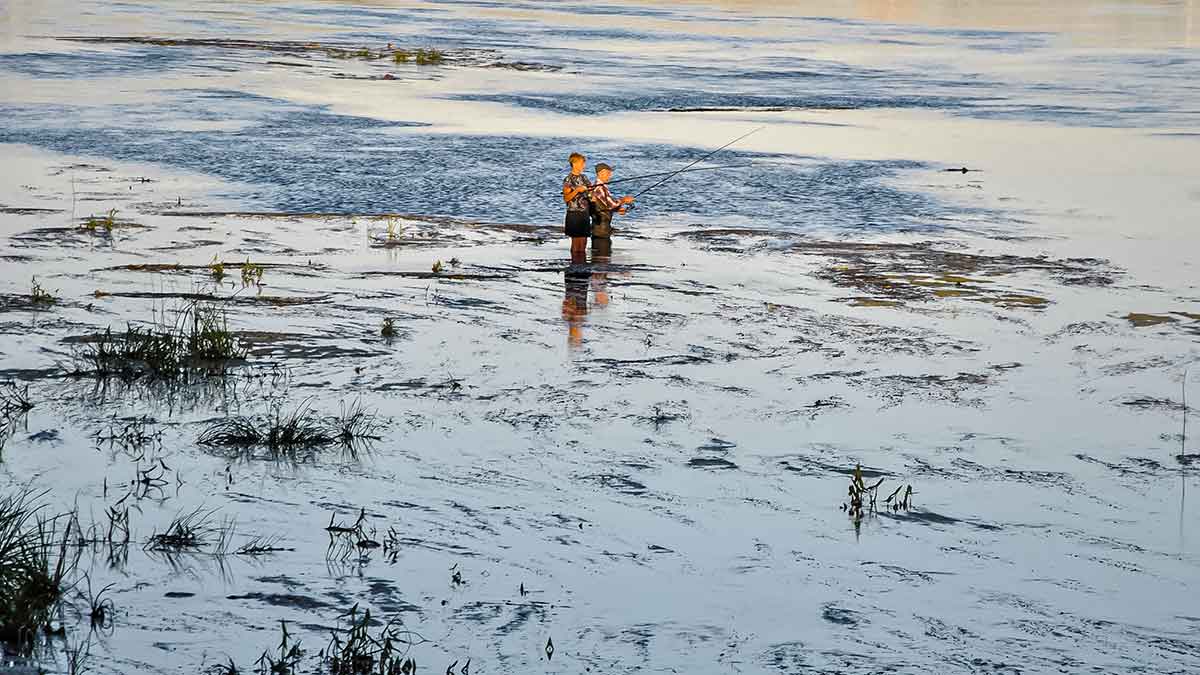 Vandens džiunglių labirintuose. Dar keli prisitaikėliai