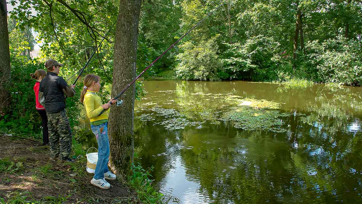 Vandens džiunglių labirintuose. Negiminingi, bet labai panašūs