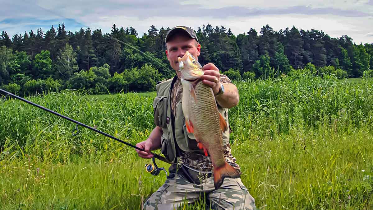 Vobleris po mikroskopu – liežuvis ir kilpa. Pirma dalis