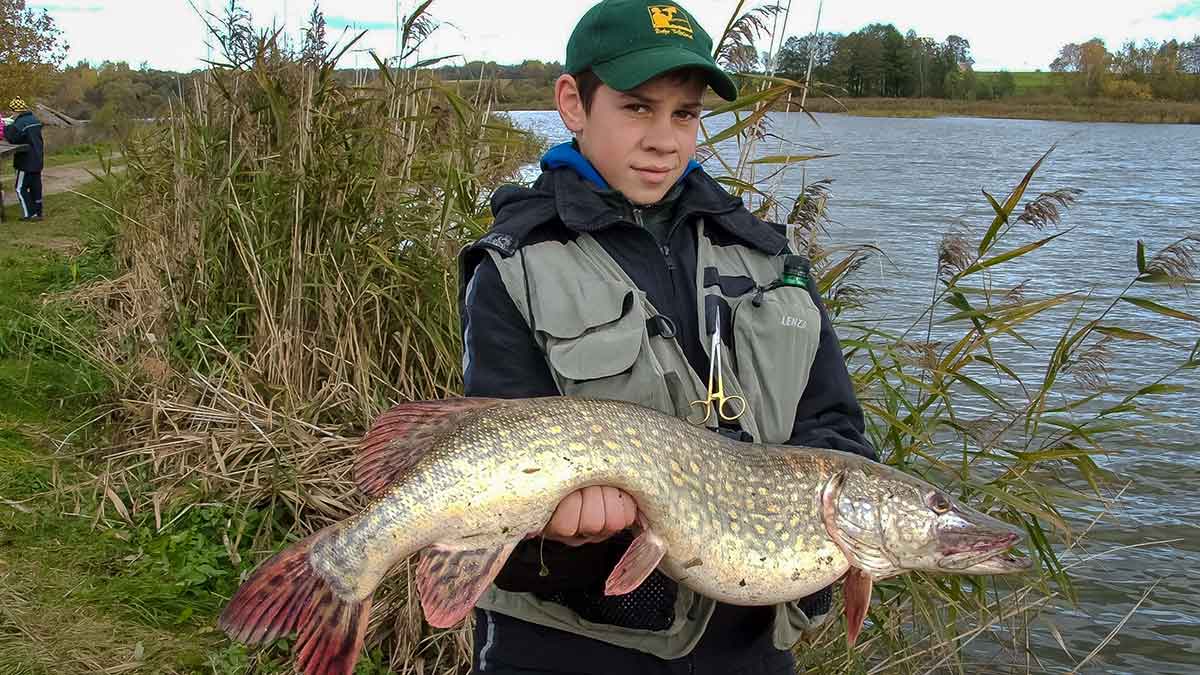 Laimėtojas būna tik vienas. Pirma dalis