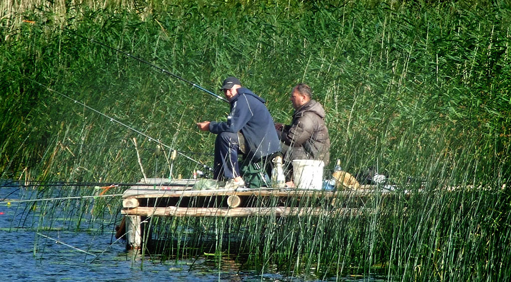 Kaip parinkti ritę plūdinei meškerei?