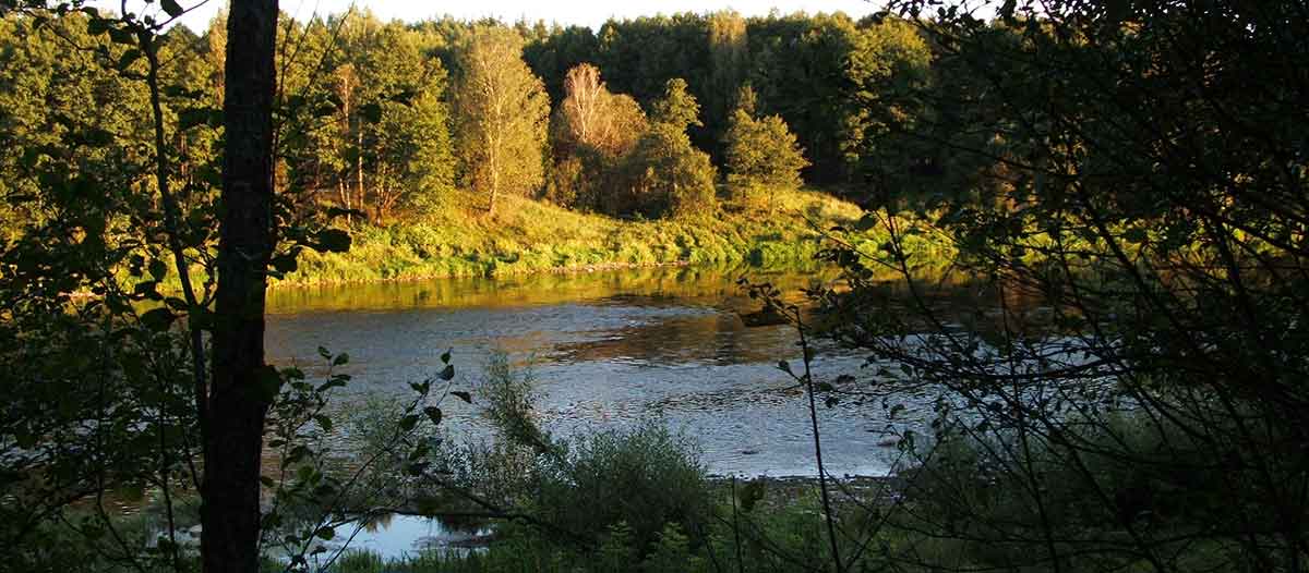 Tinkamiausi masalai ūsoriams