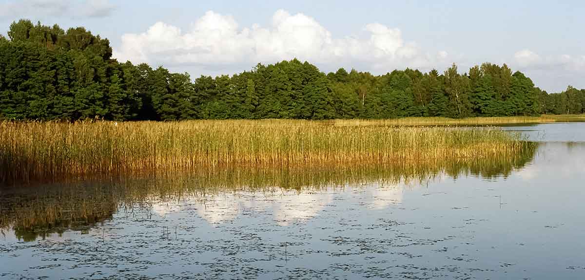 Karosus kaunietiškai