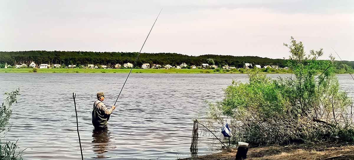 Palaidynė stambių žuvų gaudymui