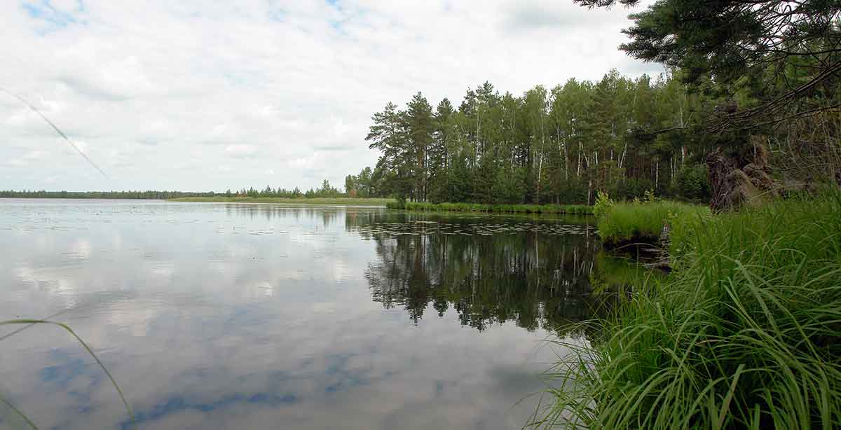 Didelės raudės gaudymas arba kur velniai vaikus veda