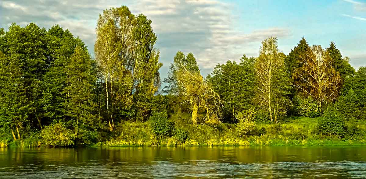 Apie žiogus upės paviršiuje ir marių dugne