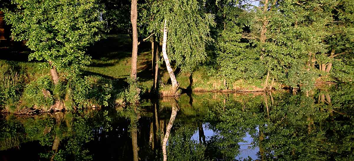 Lyną – subtiliai ir elegantiškai