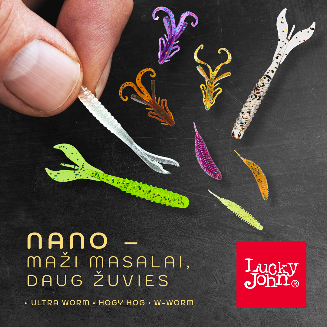 Nano masalai