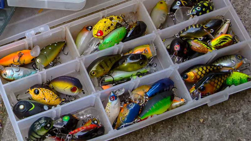 Tiny – kryptis į srovės širdį. Antra dalis Tiny – kryptis į srovės širdį. Antra dalis