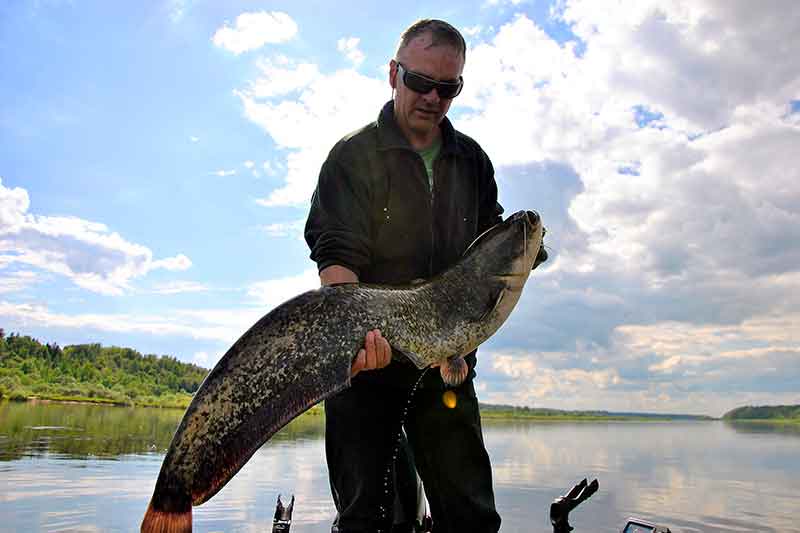 Apie salačius, išdurtas akis ir virvę ant kaklo Apie salačius, išdurtas akis ir virvę ant kaklo