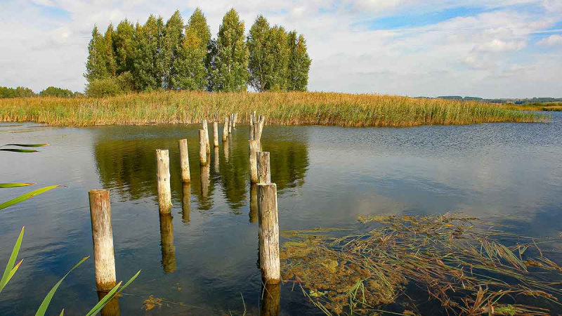 Spiningavimas topvoteriais. Pirma dalis Spiningavimas topvoteriais. Pirma dalis